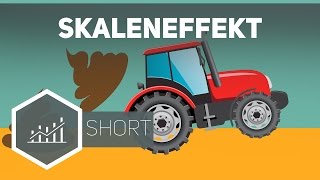 Skaleneffekt – Grundbegriffe der Wirtschaft [upl. by Assilrac]