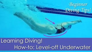 Beginner Learning Diving Howto Leveloff Underwater [upl. by Enelkcaj826]