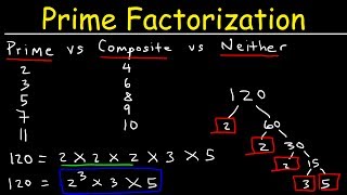 Prime Factorization Explained [upl. by Ennairoc]