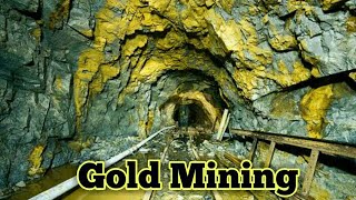 How Gold is Extracted [upl. by Rahel]