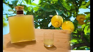 Homemade Limoncello  Italian lemon liqueur recipe [upl. by Jorgensen]