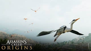 Assassins Creed Origins  Heron Feathers amp Flamingo Tongues Location Where to FIND [upl. by Gierc]