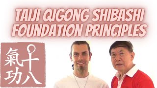 Taiji Qigong Shibashi foundational principles [upl. by Annuahs]