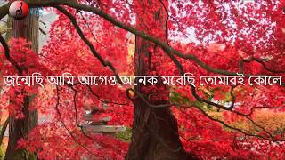 quotঅমরত্বের প্রত্যাশা নেইquot Omorotter prottasha neiLyrics by Kabir Suman  Jaatishwar [upl. by Vincents247]