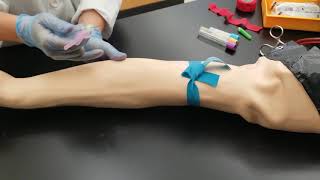 Phlebotomy Venipuncture Procedure [upl. by Nuli]