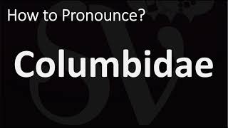 How to Pronounce Columbidae CORRECTLY [upl. by Pihc]