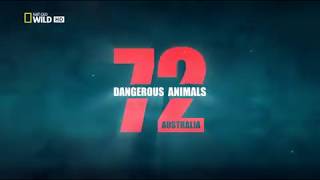 Aussie most dangerous animals  S01E01 [upl. by Balsam]