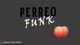 PERREO FUNK  MIX BOLICHERO N° 20  TERRIX DJ [upl. by Copeland879]