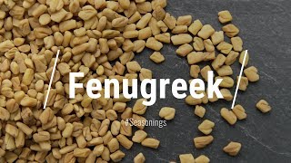 🔵 All About Fenugreek [upl. by Cibis]