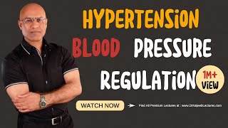 Hypertension  Blood Pressure Regulation  Hypotension [upl. by Aiceila]