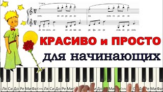 Маленький ПРИНЦ на пианино ПРОСТО и КРАСИВО [upl. by Annamarie331]