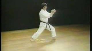 Jion  Shotokan Karate [upl. by Calista]