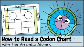 How to Read a Codon Chart [upl. by Deevan]