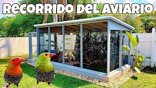 Aviario de Pajaros  Aves Exoticas   Voladero Natural [upl. by Ahsenaj298]