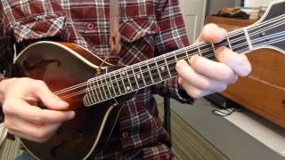 The Blarney Pilgrim With Tabs  Mandolin Lesson [upl. by Gnourt]