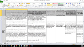 How to Create a Literature Matrix Excel [upl. by Ttenaej]