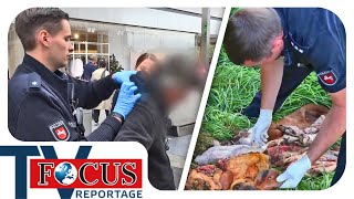 Von Verbrecherjagd bis Wildunfall Polizeieinsätze in Stadt amp Land  Focus TV Reportage [upl. by Esinek]