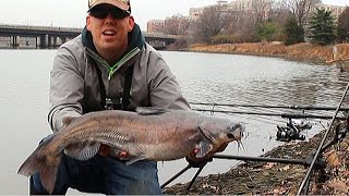 Bank fishing for catfish  How to catch catfish in a river  Winter catfishing [upl. by Elsi]