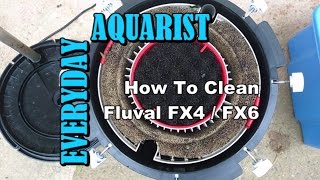 Fluval FX4 amp FX6 Filter Cleaning and Maintenance [upl. by Biddy]