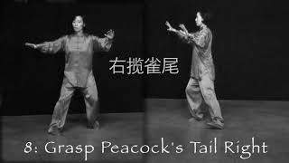 Yang Style Taichi 24 Forms for Beginners by Master Yijiao Hong [upl. by Robaina]