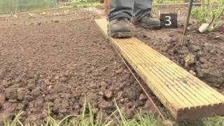 How To Plant Onions [upl. by Afas]