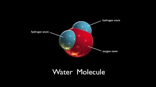 Water Molecules  Arbor Scientific [upl. by Girvin]