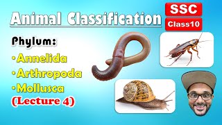 Animal Classification Lecture 4  Annelida Arthropoda Mollusca  Class 10  SSC  state board [upl. by Amati]