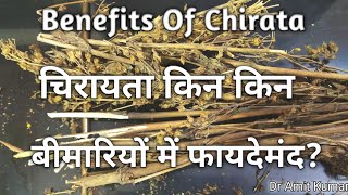 Benefits Of Chirata  चिरायता किन किन बीमारियों में फायदेमंद  चिरायता के फायदे [upl. by Hamachi90]