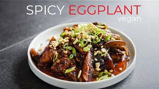 EASY Spicy Braised Eggplant Recipe [upl. by Aninat]