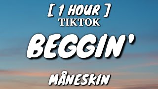 Måneskin  Beggin Lyrics 1 Hour Loop TikTok Song [upl. by Ancell]