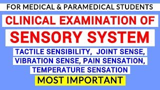 SENSORY SYSTEM EXAMINATION  CLINICAL LAB  PHYSIOLOGY [upl. by Aliab786]