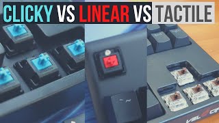 Clicky Vs Tactile Vs Linear Mechanical Keyboard Switches with Sound Tests And Examples [upl. by Iur599]