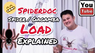 SPIDER  GAGAMBA Load EXPLAINED [upl. by Gilbertina670]