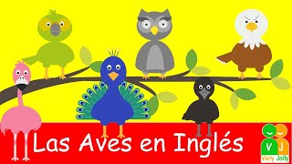 LAS AVES EN INGLES  Very Jolly [upl. by Ardisj256]