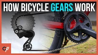 How Do Bicycle Gears Actually WORK [upl. by Wiencke]