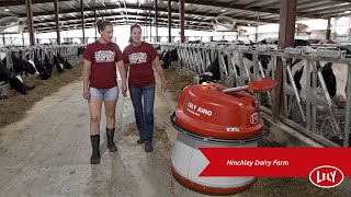 Hinchley’s Dairy Farm – Lely Life Story [upl. by Athallia]