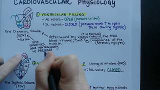 Cardiac Cycle  Cardiovascular Physiology [upl. by Ready147]