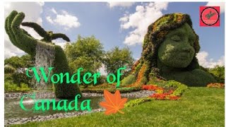 World Largest Montreal Botanical Garden Quebec Canada [upl. by Sudbury938]