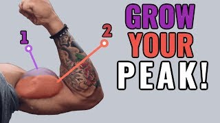 How to Grow Your Biceps Peak 4 ScienceBased Tips [upl. by Jaeger429]