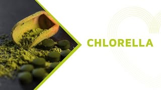 Chlorella Health Benefits Everything You Should Know About this Superfood [upl. by Rehptsirhc]