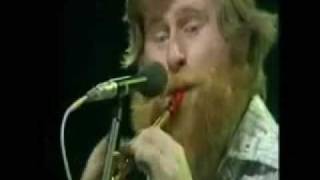 Reels Live  The Dubliners [upl. by Ekihc29]