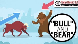 Why are Bull and Bear Markets Called That [upl. by Hametaf704]