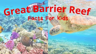 Great Barrier Reef Facts For Kids [upl. by Aniwde]