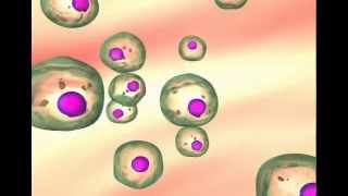 The different types of mutations  Biomolecules  MCAT  Khan Academy [upl. by Atinreb]