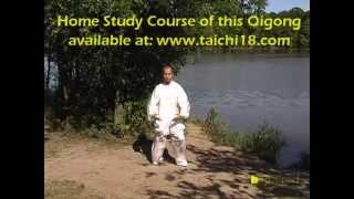 Tai Chi Qigong Shibashi  Set 2 [upl. by Buxton]