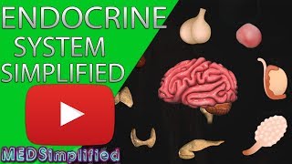 Human Endocrine System Made simple Endocrinology Overview [upl. by Araid]