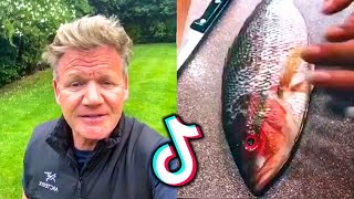 All Gordon Ramsay reactions to bad TikTok cooking [upl. by Eynahpets]