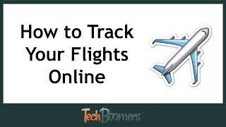 How to Track Your Flights Online [upl. by Atimed]