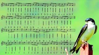 Swallowtail Jig  Tin Whistle Tabs  Play Along Tutorial [upl. by Sileray]