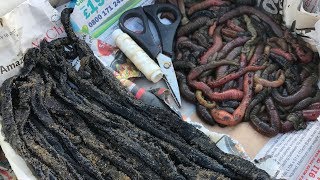 Beach Fishing BAIT CHALLENGE  Fresh Worm v Frozen Worm [upl. by Massingill]